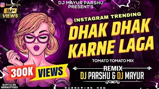 Dhak Dhak Karne Laga Vs Tomato Tomato  DJ Mayur amp DJ Parshu  Instagram Trending [upl. by Fayola]