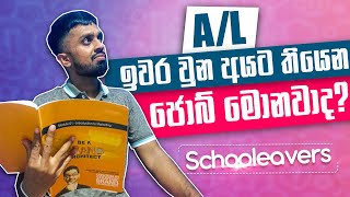 After AL Job Vacancies In Sri Lanka  ලංකාවේ කරන්න පුලුවන් Part Time Jobs [upl. by Scibert145]