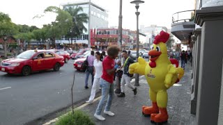 ¿Cómo participar en el Chinamo con la Gollo Cumbia  Gollo [upl. by Marvella]