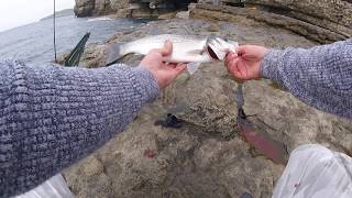 Purbeck Lure Fishing 280517 [upl. by Gnirps]