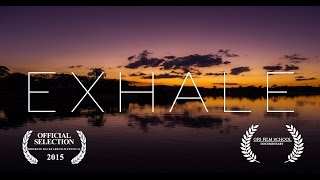 EXHALE  A must watch for all Freedivers [upl. by Japeth895]