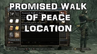 Dark Souls 2 Promised Walk of Peace Location The Sunken King DLC [upl. by Wendie465]