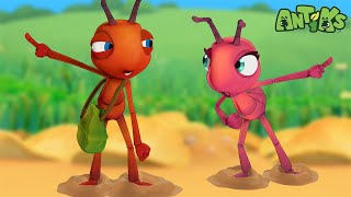 Stuck In The Muddle With You  🐛 Antiks amp Insectibles 🐜  Funny Cartoons for Kids  Moonbug [upl. by Luttrell]