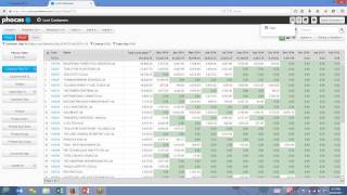 Phocas Business Intelligence for SAP Business One [upl. by Elleirb495]