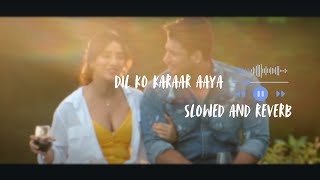 dil ko karaar aaya song  lofi version  Hindi song [upl. by Thomasa949]