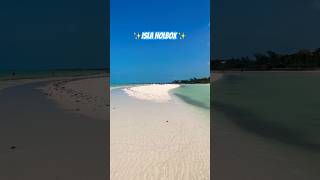 Holbox Island Mexico 🇲🇽 🏝️ travel destination mexico holbox [upl. by Salbu]