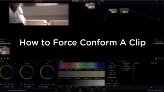 DaVinci Resolve 9  How to Force Conform a Clip [upl. by Deery]