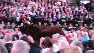 Andre Rieu  Espana Cani Bull chasing lady in red Birmingham 2014 [upl. by Llain]