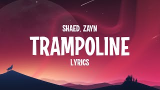 SHAED amp ZAYN  Trampoline Lyrics [upl. by Ynnavoeg656]