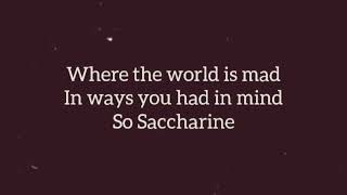 Saccharine Lyric Video [upl. by Oakley]