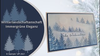 Winterlandschaft  Immergrüne Eleganz Produkte von Stampin´UP [upl. by Gabbi]