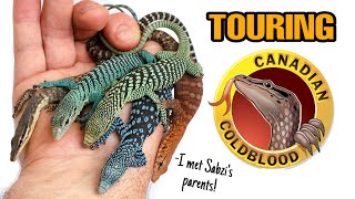 INCREDIBLE REPTILE FACILITY TOUR  CANADIAN COLDBLOOD  Monitor lizards Geckos and more [upl. by Haas]