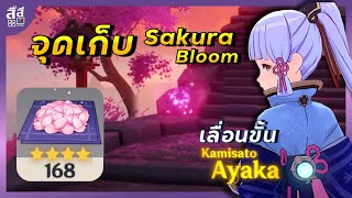 Genshin Impact ✦ จุดเก็บ Sakura Bloom ไอเทมเลื่อนขั้น Ayaka ตัดจากไลฟ์ [upl. by Anirtal]