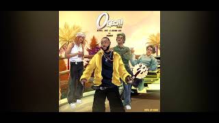 Ogechi feat Davido Remix [upl. by Onfroi]