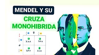 1 Introducción a la genética mendeliana conceptos básicos y cruza monohíbrida [upl. by Nomsed]