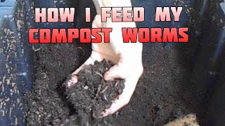 How I FEED My Composting WORMS [upl. by Pedaiah]