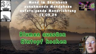 Mond im Garten  Blumen aussäen und MondREZEPT  Eintopf kochen [upl. by Enelaehs604]