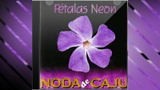 NODA DE CAJU  Pétalas Neon com letra [upl. by Fotzsyzrk631]