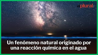 Estas son las 8 playas bioluminiscentes de Galicia donde el mar se ilumina las noches de verano [upl. by Elokkin]