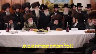 Belzer Rebbe Making Sheva Brochos For His Brother In Law Viznitzer Rebbes Einikel  Tammuz 5784 [upl. by Siraved]