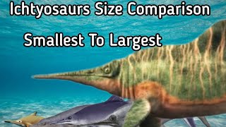 Ichthyosaurs Size Comparison Smallest to Largest [upl. by Ioyal926]