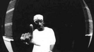 Big L  Put it on Devaloop Remix [upl. by Strain]