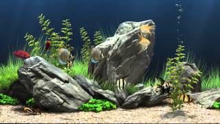 Dream Aquarium Virtual Fishtank 1 [upl. by Ahsiem]