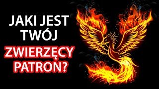 Jaki jest wasz zwierzęcy patron [upl. by Kong]