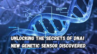 Unlocking the Secrets of DNA New Genetic Sensor Discovered [upl. by Arvy56]