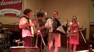 MARK HALATA POLKA BAND PLUS MOLLIE B AND TED LANGEENNIS TEXAS MAY 25 2013 [upl. by Cannon]