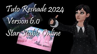 RESHADE Tutorial 2024 version 60 Star Stable Online FR [upl. by Novak]