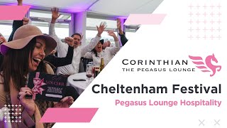 The Cheltenham Festival 2024 🏇  VIP Hospitality 🥂  The Pegasus Lounge with Corinthian Sports [upl. by Vaughan542]