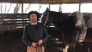 Domadores de Caballos Cria Polo Argentino “Técnicas y Tiempos en la doma” Fabricio Garcia [upl. by Ahsratal18]