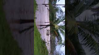 Typhoon Odette  Bangon Bohol  Bohol Devastation  Ritch Mz Channel [upl. by Rutherfurd827]