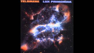 Telomere  Spiral Arms [upl. by Alikahs]