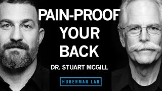 Dr Stuart McGill Build a Strong PainProof Back [upl. by Ibrad]