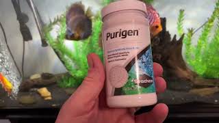 Seachem Purigen Organic Filtration Resin Fresh and Saltwater 250ml Review [upl. by Allmon706]