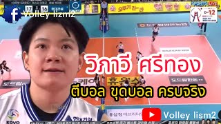 วิภาวี ศรีทอง หลังๆนี้ไม่เสริ์ฟจี้เลยนะ😅 volleyballthailand ลีกเกาหลีใต้ วิภาวีศรีทอง [upl. by Nilyahs]