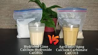 HYDRATED LIME VS AGRILIMEAPOG WATER PURIFICATION TEST [upl. by Nimad]