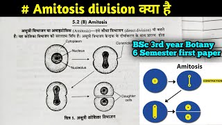 Amitosis Cell division कैसे होता है  BSc 3Rd year Botany 6th Semester first paper in Hindi [upl. by Ayanad418]