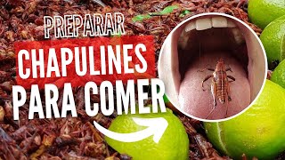 Como Preparar Chapulines 🦗 para Comer [upl. by Schroth]