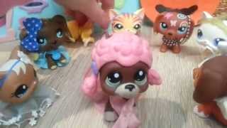 LPS  Zakręceni 5 Littlest Pet Shop [upl. by Madriene]