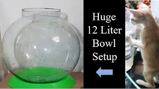 how to set up biggest fish bowl  12 Litre   Fish bowl setup  Aquarium setup  easy bowl setup [upl. by Nanette]