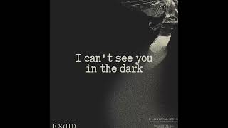 Floke Rose  i cant see you in the dark Lyric Video [upl. by Johnsson]