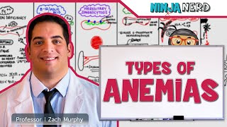 Hematology  Types of Anemias [upl. by Altis172]