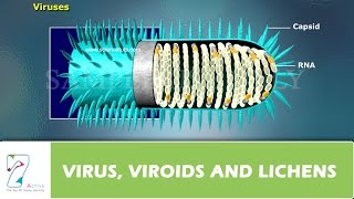 VIRUS VIROIDS and LICHENS [upl. by Haldas]