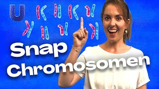 Waarom zijn mannen anders dan vrouwen WetenSNAP chromosomen [upl. by Harley]