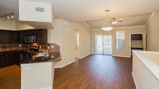 Mansions at Sunset Ridge Apartments in Carrollton TX  mansionsatsunsetridgecom  1BD 1BA For Rent [upl. by Farris]