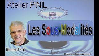 PNL les SousModalités par Bernard Frit Atelier PNL 132022 [upl. by Eidualc]