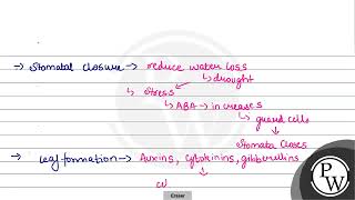 Abscisic acid causes [upl. by Eugor400]